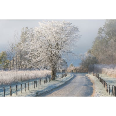 Tableau paysage Un matin glacial HEXOA