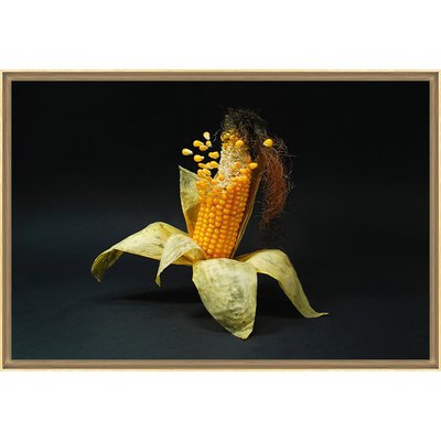 Tirage Encadré Sur Verre Synthétique Popcorn TIRAGE D'ART CEANOTHE