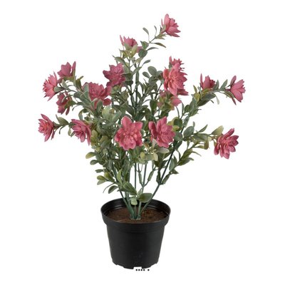 Succulente fleurie factice cactée Vieux Rose ARTIFICIELLES