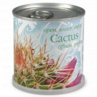 Cactus Prêt à pousser en canette MAC FLOWERS