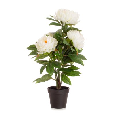 55cm Cream Peony Plant SO'HOME