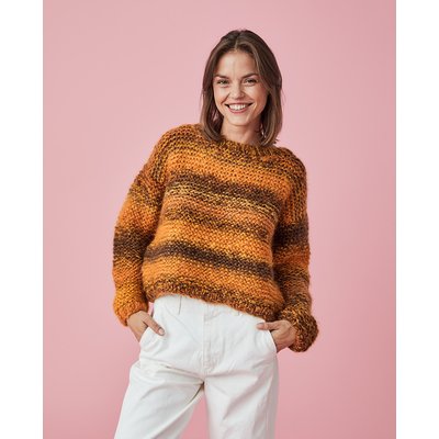 Kit Tricot Pull Débutant Daryl PINGOUIN