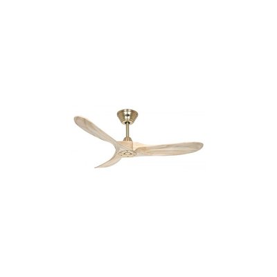 Ventilateur  Plafond  ECO GENUINO BOUTICA-DESIGN