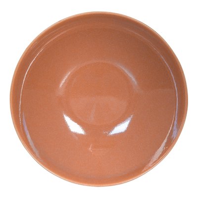 Assiette à pâtes Terra 22 cm (lot de 6) TREND UP