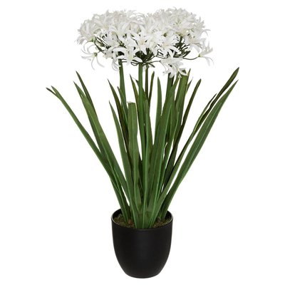 Agapanthe artificielle ATMOSPHERA