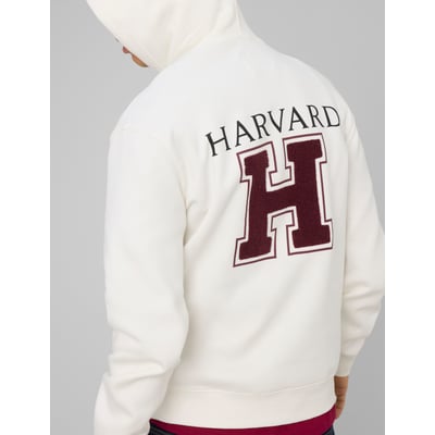 Sweat licence harvard BZB
