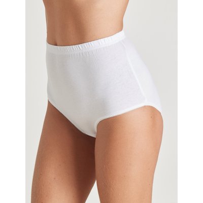 Lot de 10 culottes pur coton DAXON
