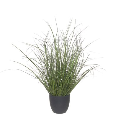 Planta artificial "Onion Grass" 56cm, BORGHESI BORGHESI