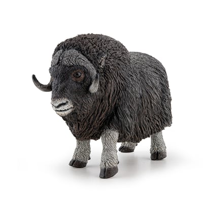 Figurine Bœuf musqué PAPO