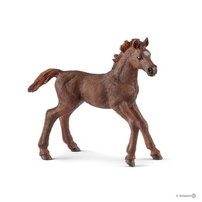 Poulain Pur-sang anglais SCHLEICH