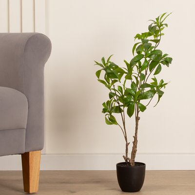 68cm Artificial Pieris Tree SO'HOME