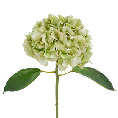 Tige d'hortensia avec feuilles artificielles H45 PREMIUM SIA DECO