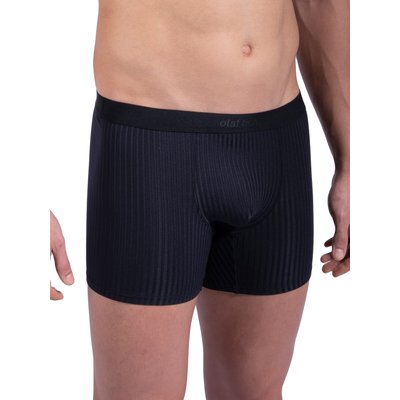 Boxer PEARL2301 OLAF BENZ