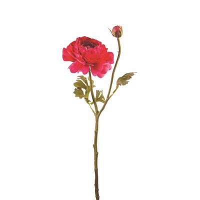 Tige de renoncule ouverte artificielle H40 SIA DECO