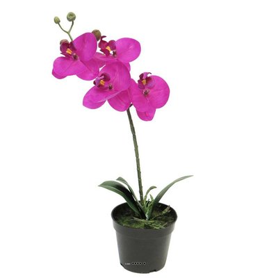 Orchidée Phalaenopsis factice Top Qualité ARTIFICIELLES