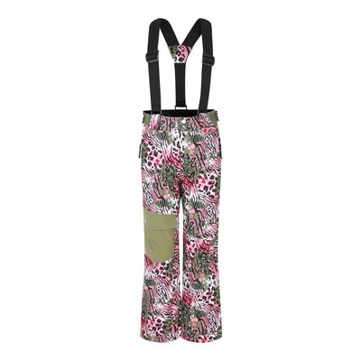 Pantalon de ski POW DARE 2B