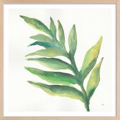 Affiche Plante aloe watercolor HEXOA