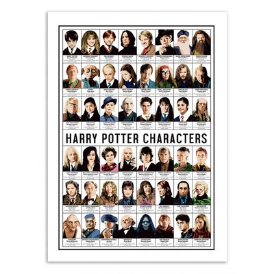 Affiche d’art et cadre noir 30 x 40 cm - Harry Potter Characters - Olivier Bourdereau WALL EDITIONS