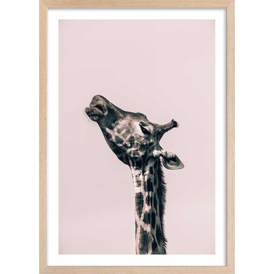 Affiche girafe ma reine HEXOA