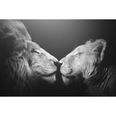 Tableau mural bisou de lion CEANOTHE