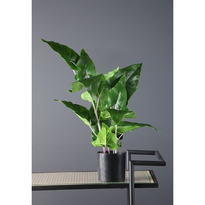 48cm Artificial Real Touch Typhonium Plant SO'HOME