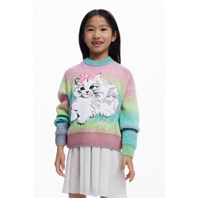 Pull arc-en-ciel chat DESIGUAL