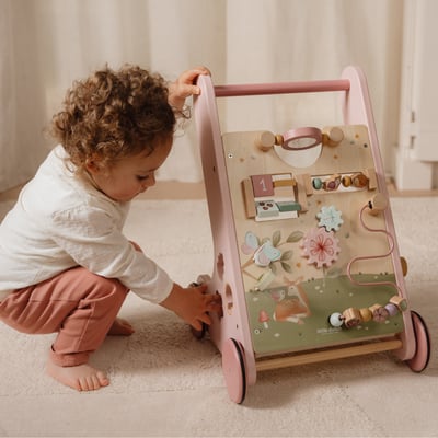 Chariot de marche LITTLE DUTCH