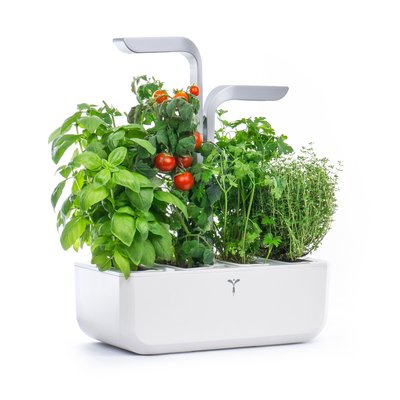 Potager d'intérieur Smart VPOT-SAWAS-A-2 VERITABLE