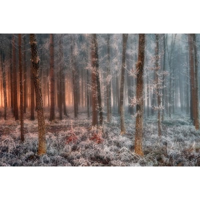 Tableau paysage de glace et de feu HEXOA