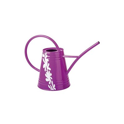 Arrosoir acier mauve 2,3L NATUR'ELLE