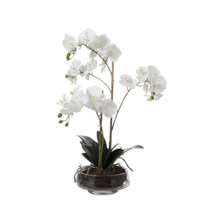 Orchidée artificielle en pot H56 SIA