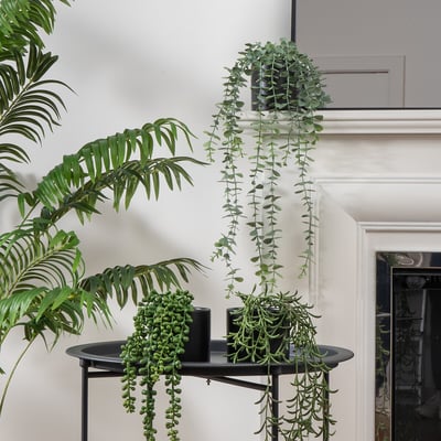Set of 3 Artificial Trailing Plants in Black Pots SO'HOME