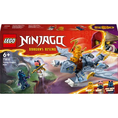Ninjago Le jeune dragon Riyu LEGO