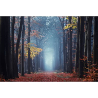 Tableau Lumière d'automne HEXOA