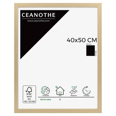 Cadre photo NATURE CEANOTHE