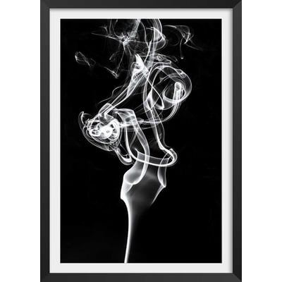 Poster white smoke tulip dream HEXOA