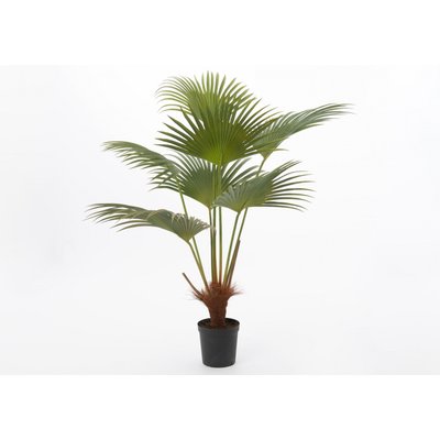 Palmier royal 140 cm AMADEUS