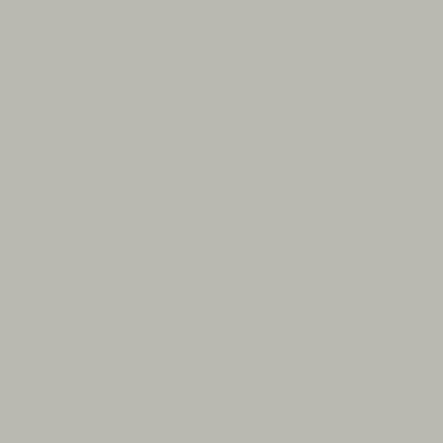 Water Based Eggshell Paint Mercury Light SANDERSON