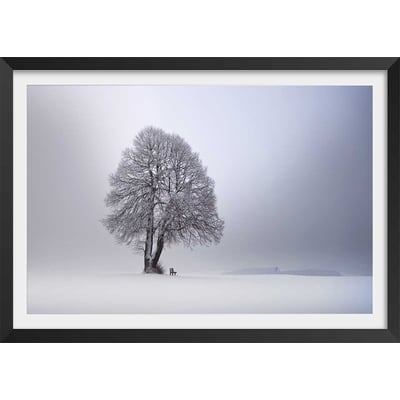 Affiche paysage Lumière d' hiver HEXOA
