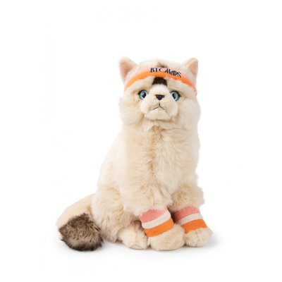 Peluche Ragdoll Dolly - 32 cm en Polyester Écologique pour Enfants CHAP MEI
