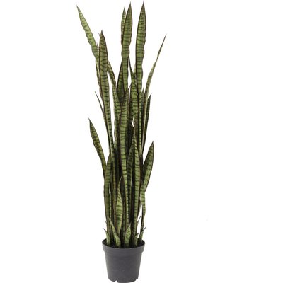 Plante décorative Sansevieria 155cm KARE DESIGN
