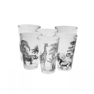 Lot de 6 verres, SAVANA ARD TIME