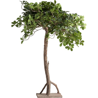 Ficus décoratif en bois fait main RECOLLECTION