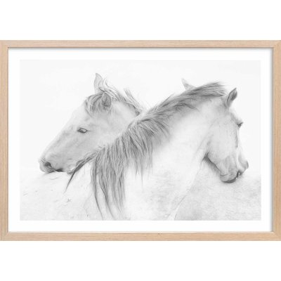 Poster chevaux blancs au crayon de bois HEXOA