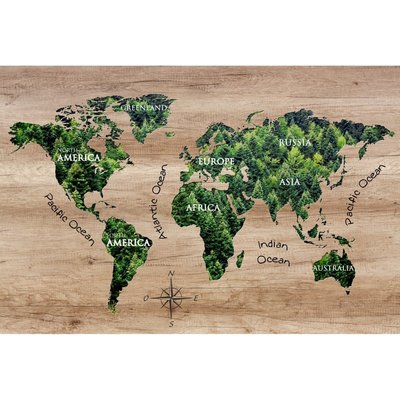 Tableau sur verre synthétique world map forest CEANOTHE