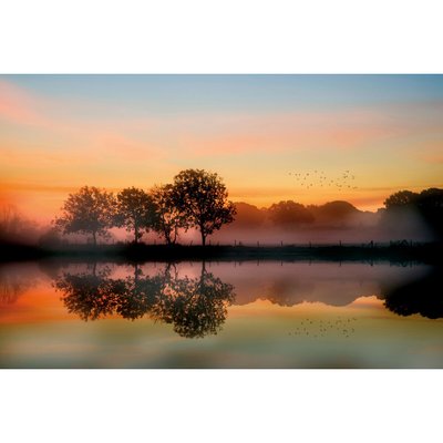 Tableau mural campagne CEANOTHE