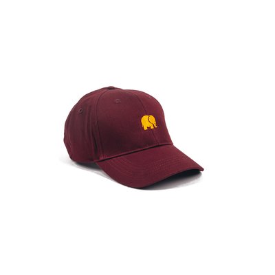 Casquette ajustable brodée SIX PANEL TRENDSPLANT