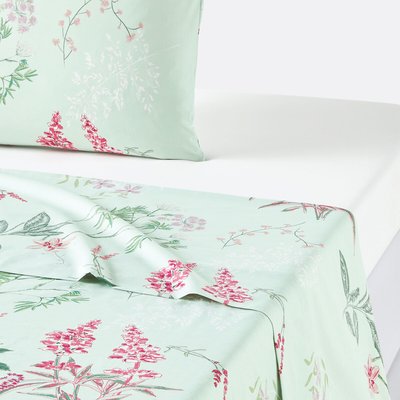 Drap plat percale de coton, Isoline LA REDOUTE INTERIEURS