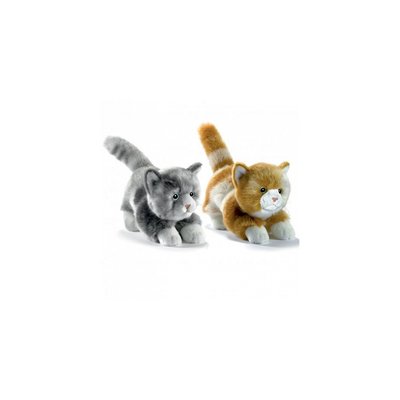 Chaton joueur roux peluche 20cm ANIMA