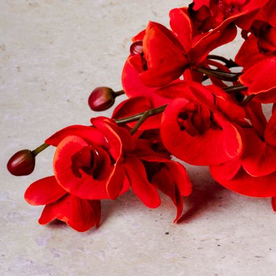 Tige d'orchidée phalaenopsis artificielle H82 SIA DECO